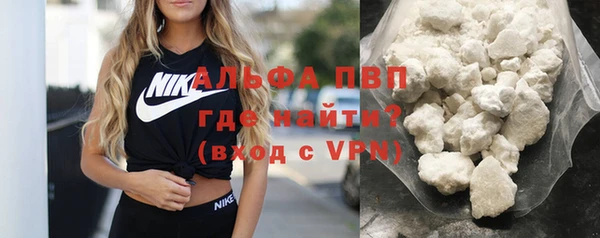 индика Белокуриха