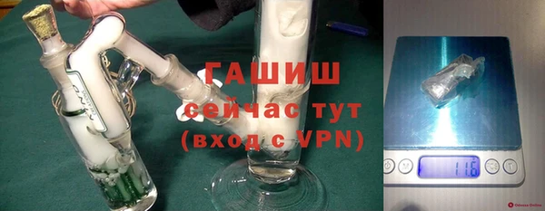 индика Белокуриха