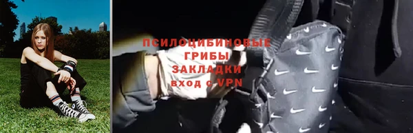 индика Белокуриха