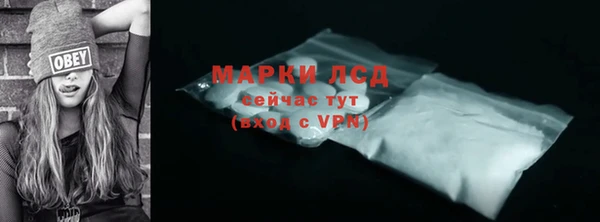индика Белокуриха