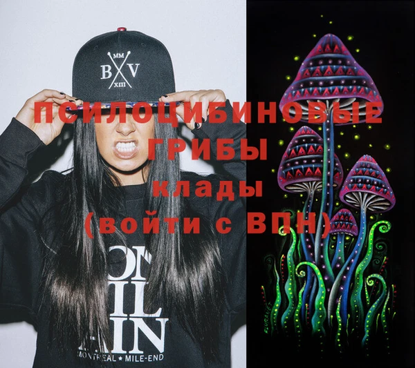 индика Белокуриха
