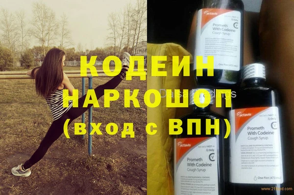 индика Белокуриха