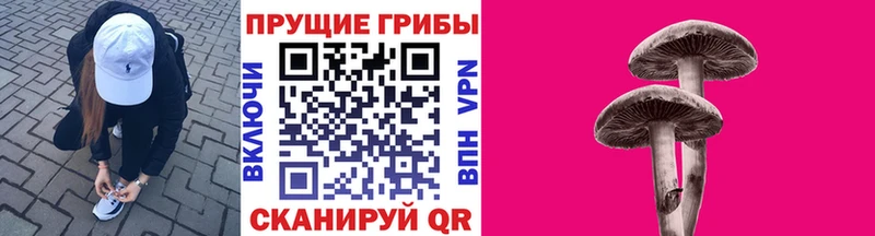 где продают Туймазы Псилоцибиновые грибы Psilocybe